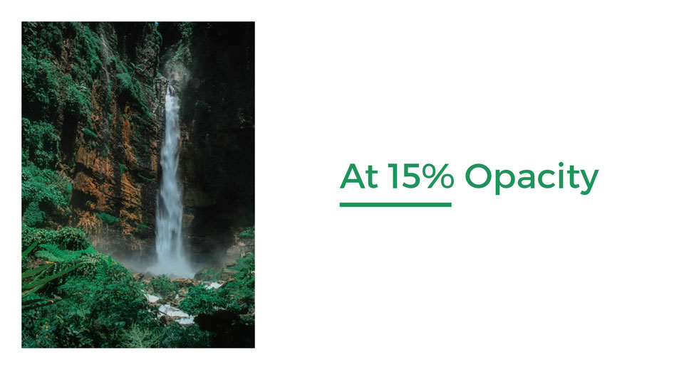 At 15% opacity-The perfect blend-