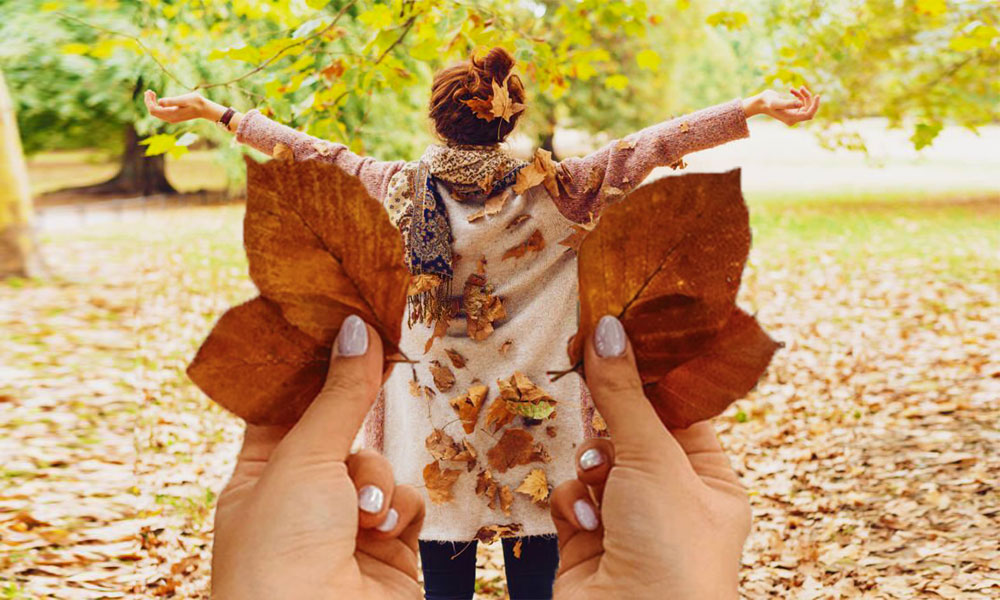 Build Fairy Wings With Leaf