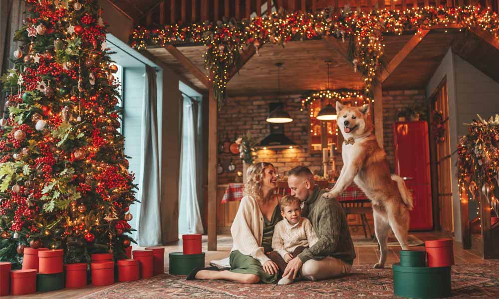 Christmas Photo Ideas at Home - Love the Pet