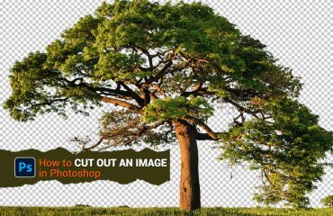 How to cut out image in photoshop