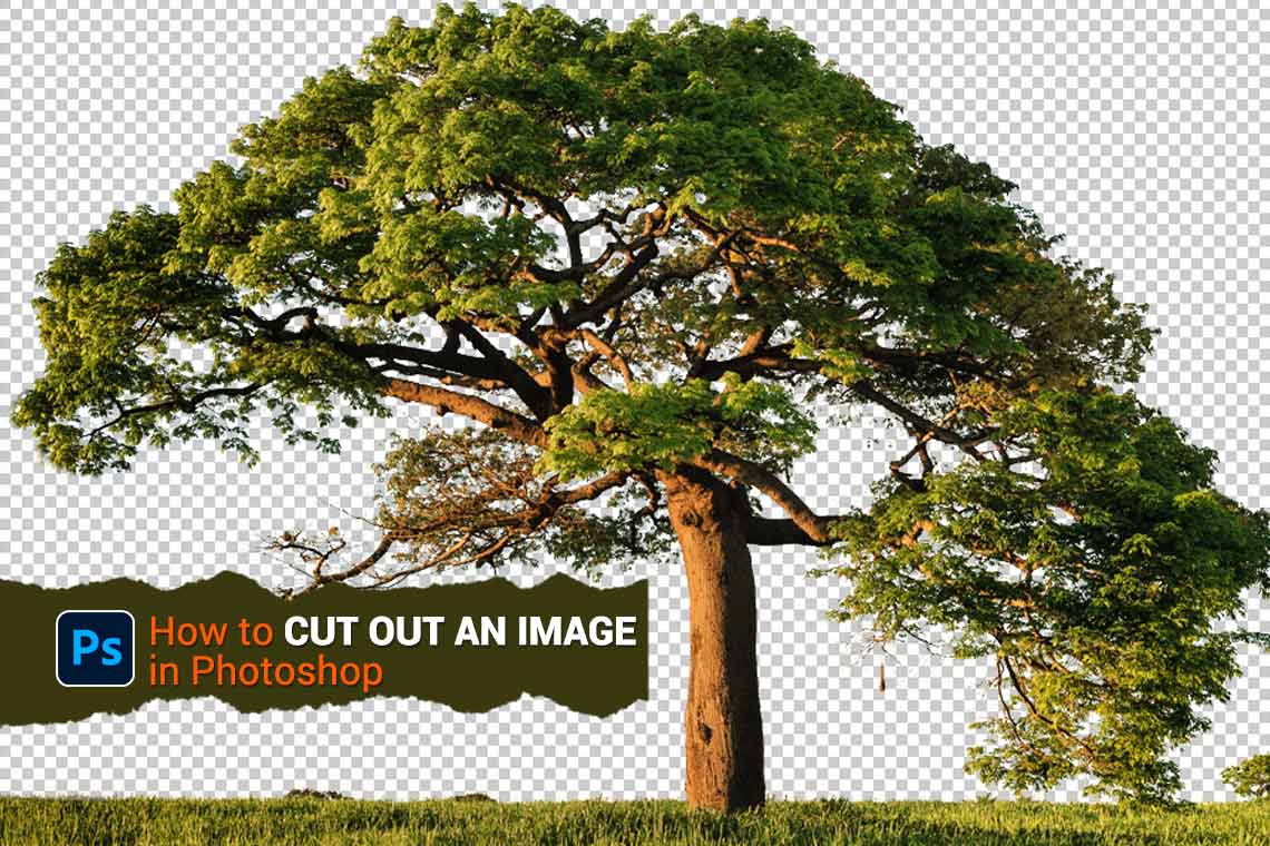 How to cut out image in photoshop