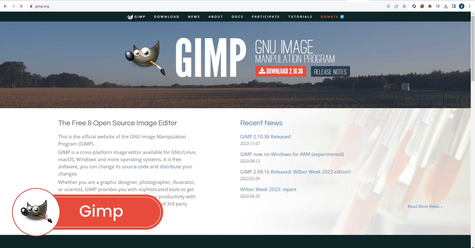 Gimp